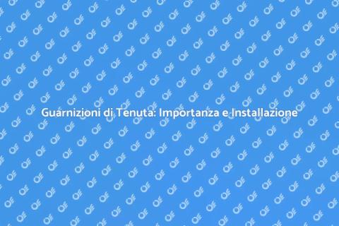 Installare Guarnizioni di Tenuta