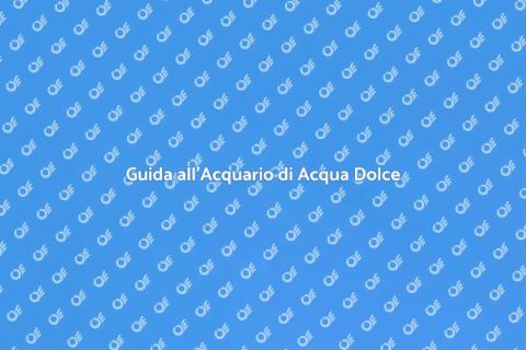 Consulenza Acquario Acqua Dolce