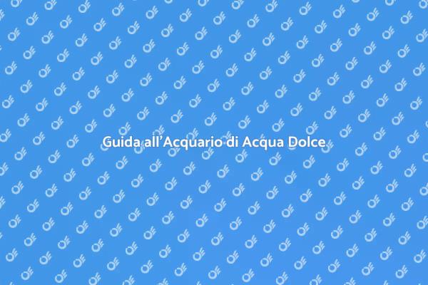 Consulenza per il Tuo Acquario Ideale