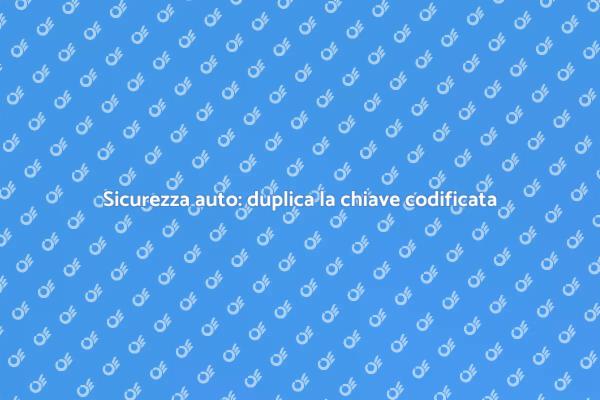 Duplica la chiave codificata per sicurezza
