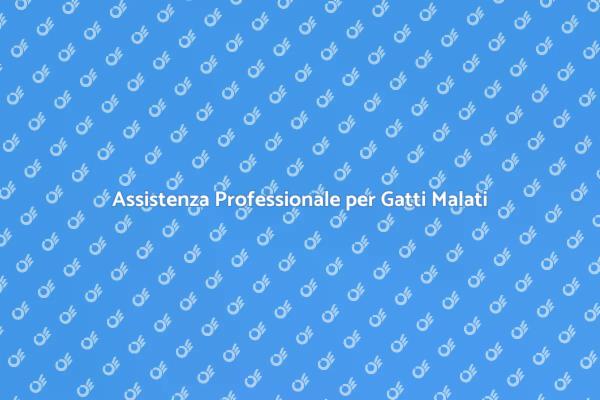 Importanza di un Cat Sitter Esperto