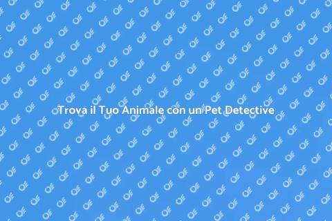 Servizio di Pet Detective Professionale