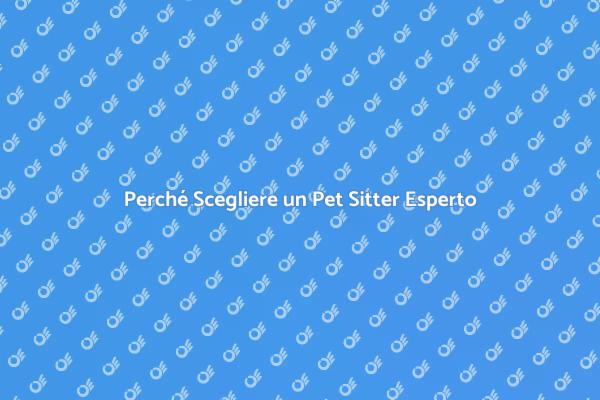 Affidati a un Pet Sitter Professionista