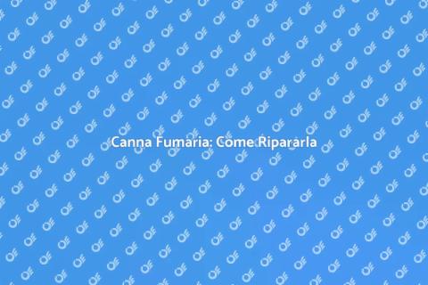 Riparare la Canna Fumaria: Guida Completa