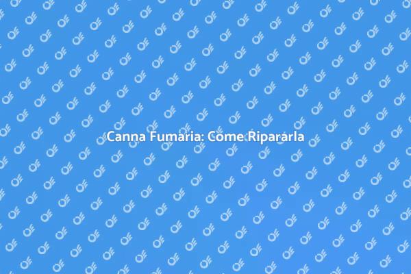 Guida alla Riparazione della Canna Fumaria