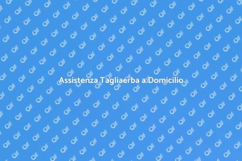 Riparazione Tagliaerba a Domicilio