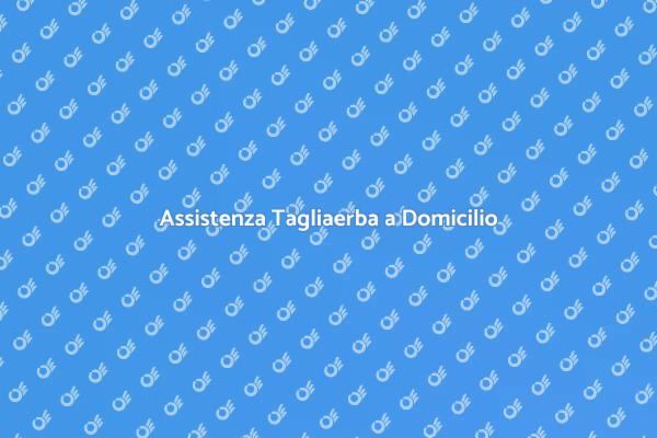 Riparazione Efficiente per il Tuo Giardino