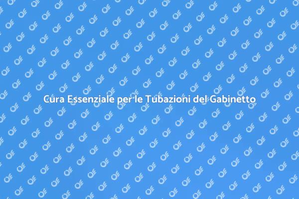Manutenzione Tubazioni: La Chiave per la Salute