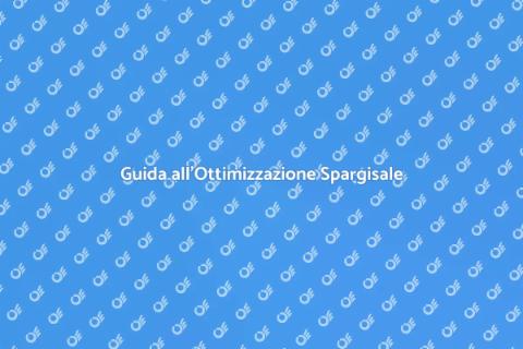 Ottimizzazione Spargisale: Guida Efficace