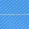 Termostato GSM: Comfort e Innovazione