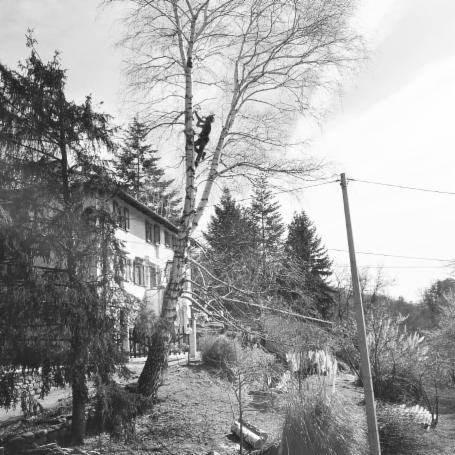 Sherwood TreeWorker - Foto 2