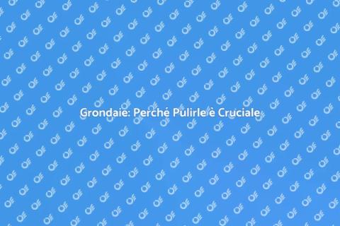Pulire Grondaie: Manutenzione Essenziale