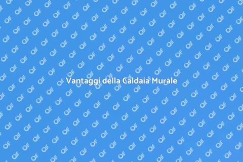 Caldaia Murale: Comfort e Efficienza