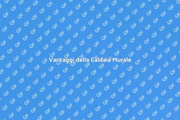 Caldaia Murale: Il Tuo Comfort Domestico