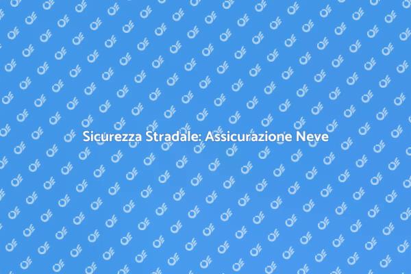 Assicurati per il Sgombero Neve