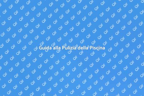 Manutenzione della Piscina Perfetta