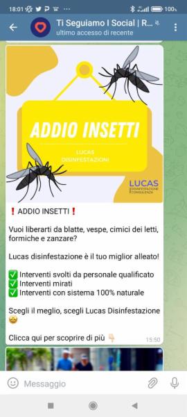 Lucas Disinfestazione  - Foto 12
