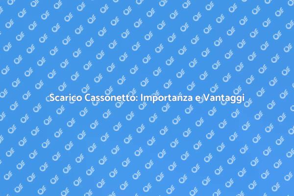 Scarico Cassonetto: Tutto Quello che Devi Sapere