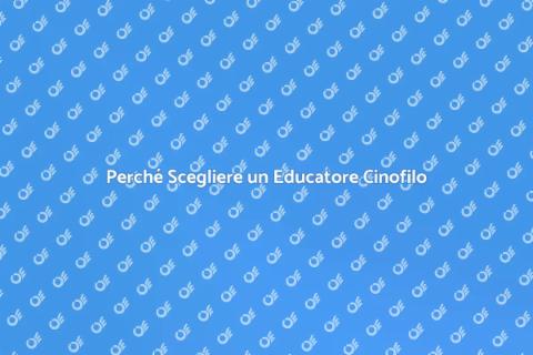 Educatore Cinofilo: L'Arte di Educare