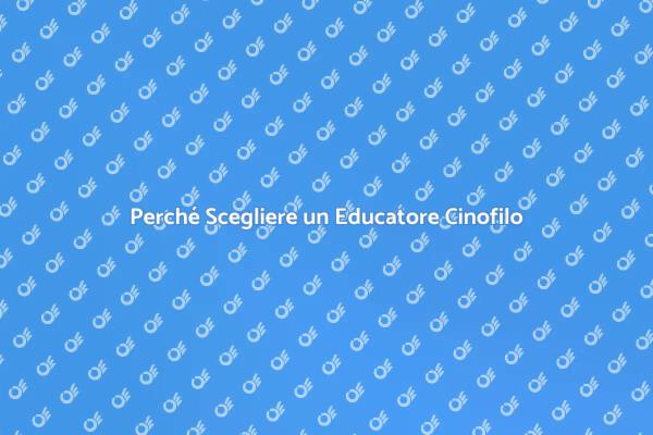 Educazione Canina: Scegli il Giusto Professionista