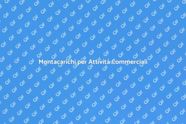 Soluzioni di Montacarichi Commerciale