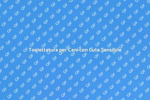 Toelettatura Cani con Problemi di Cute