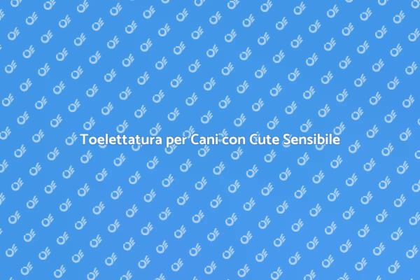 Toelettatura per Cani: Salute e Benessere