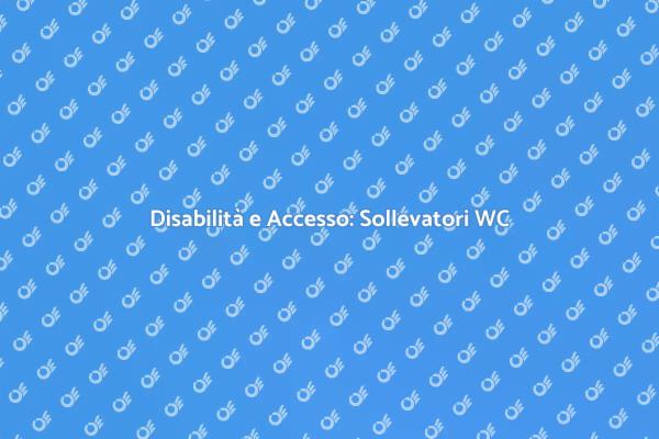 Sollevatore WC: Libertà per Disabili