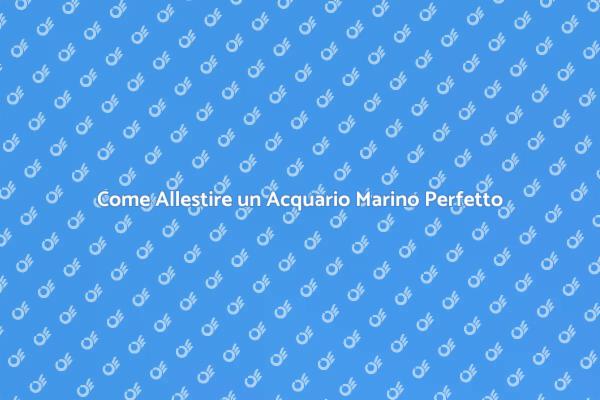 Creare il Tuo Acquario Marino Ideale