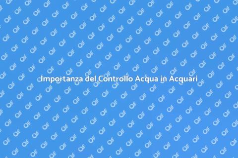 Controllo Dissolvimento Acquari Essenziale
