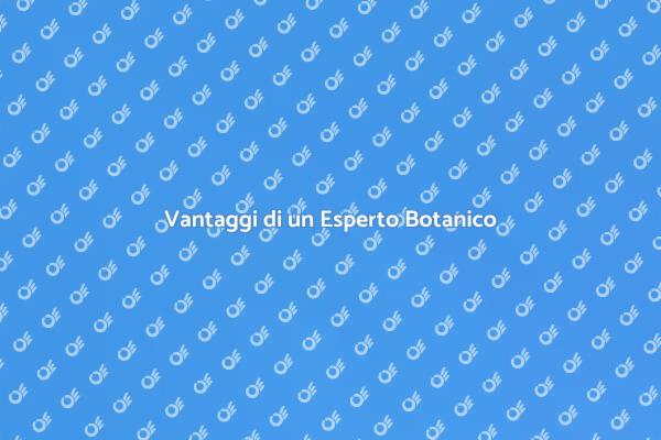 Trasforma il tuo Giardino con un Esperto