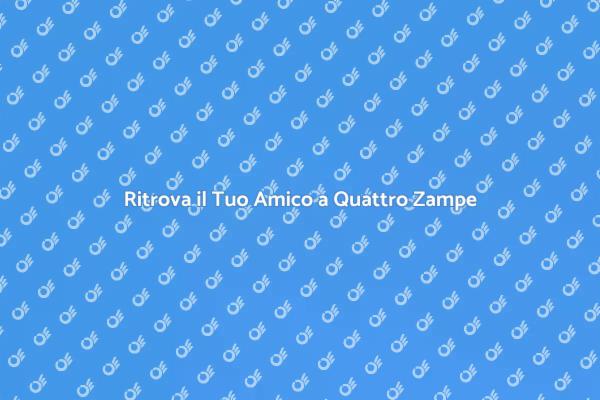 Il Tuo Amico a Quattro Zampe Ti Aspetta