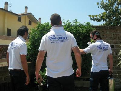 Disinfestazioni Srl  - Foto 6