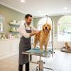 Come Trovare un Toelettatore per Cani