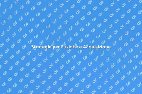 Consulenza Fusione e Acquisizione