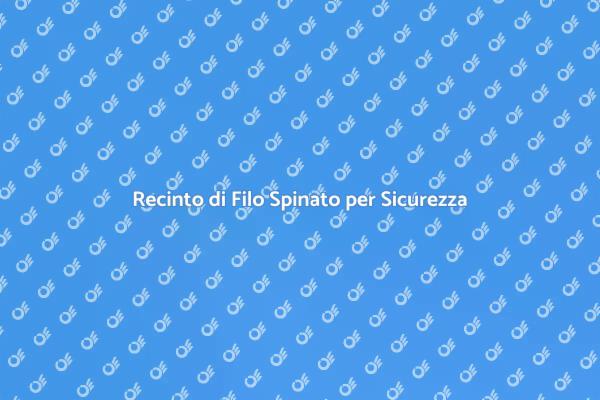 Proteggi i Tuoi Spazi con Filo Spinato