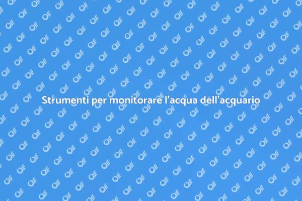 Importanza dei kit per l'acquario