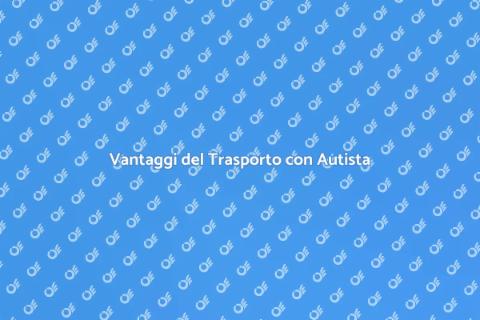 Sicurezza Trasporto con Autista Qualificato