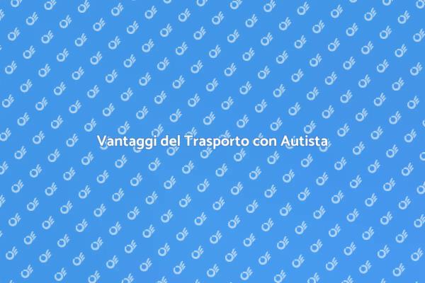 Sicurezza e Comfort nei Trasporti