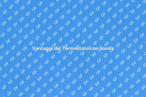 Termostato con Sonda di Alta Qualità