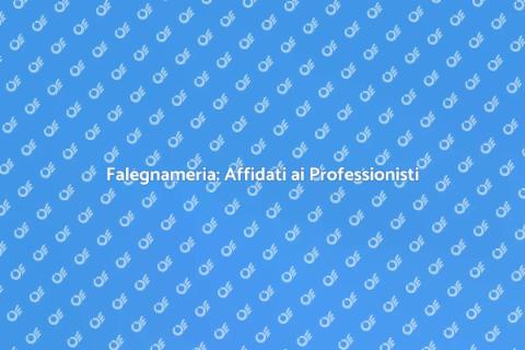 Falegnameria: Arte e Professionismo