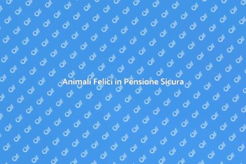 Pensione per Animali: Comfort Assicurato