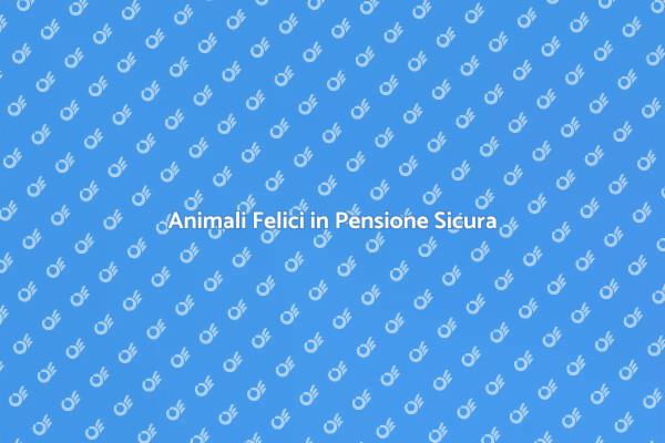 Scopri la Pensione Perfetta per il Tuo Pet