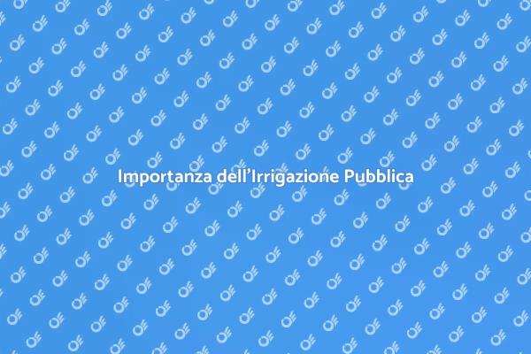 L'Essenza dell'Irrigazione Pubblica