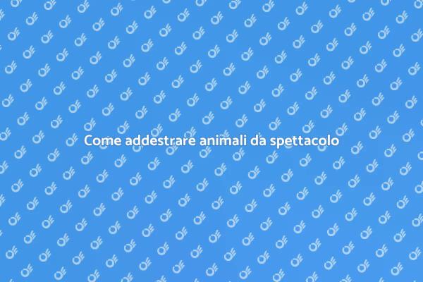 Addestramento di animali da spettacolo