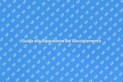 Risolvere Problemi di Gocciolamento