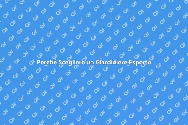 Trasforma il Tuo Giardino con Esperti