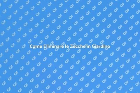 Sterminare le Zecche: Guida Efficace