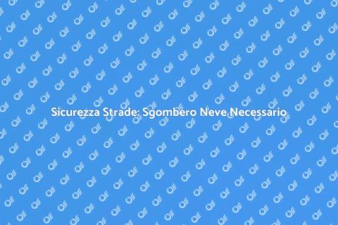 Sgombero Neve: Sicurezza e Assicurazione