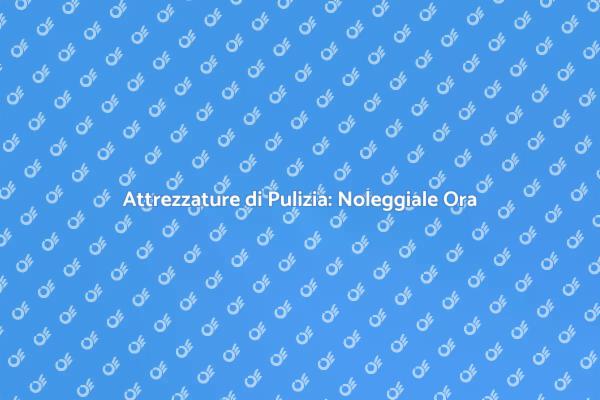 Pulizia Facile: Noleggia Oggi!